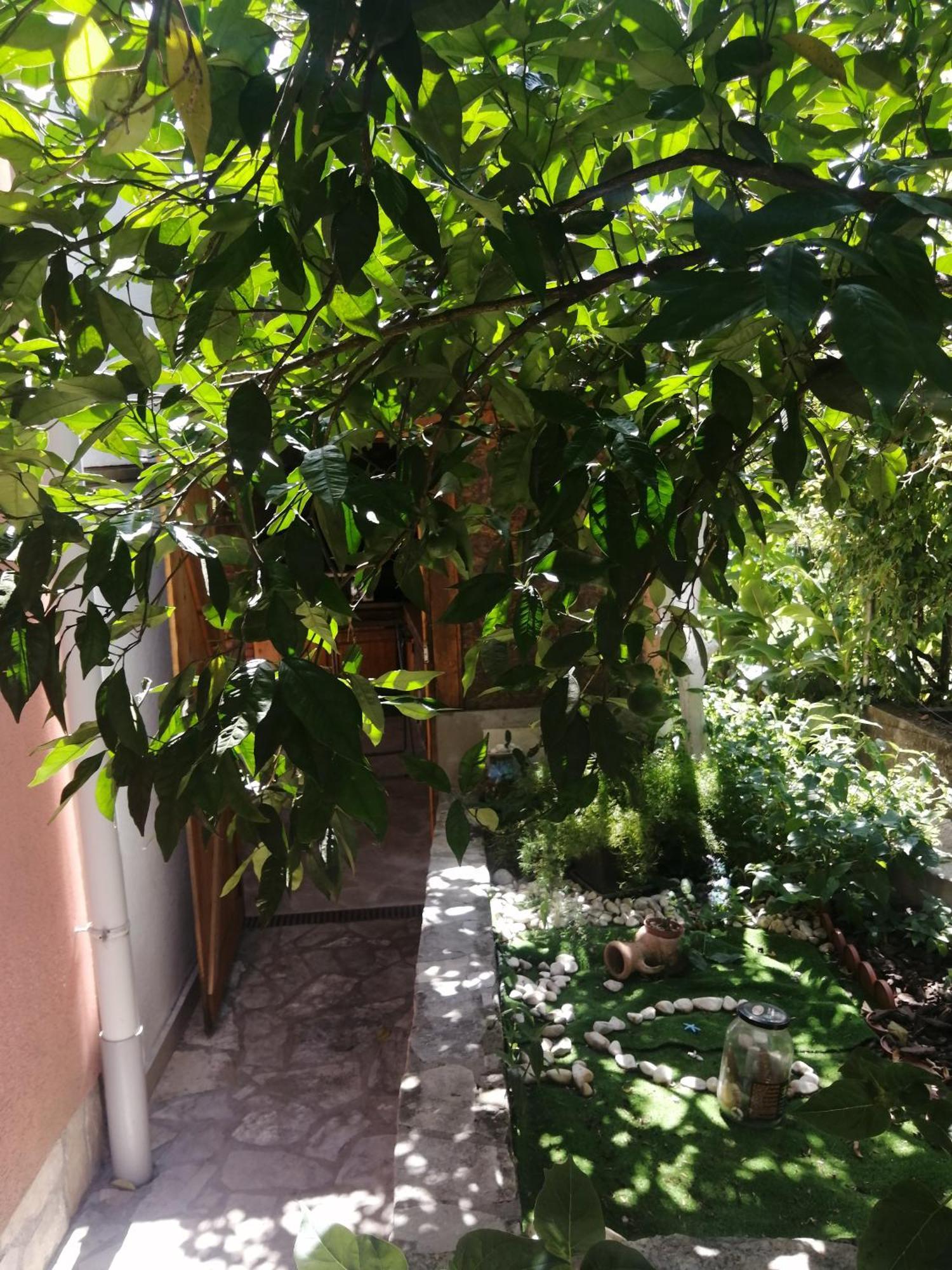 Ninic Family Apartments Tivat Luaran gambar